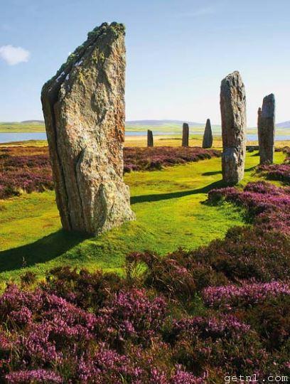Tapering Ring o’Brodgar stones surrounded by a floral landscape, Orkney Island