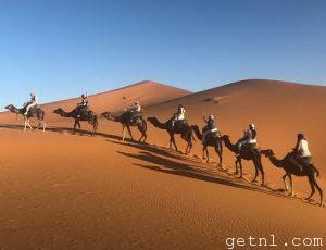 Tourism Camel Trekking, Morocco