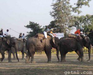 Tourism Elephant Polo, Nepal