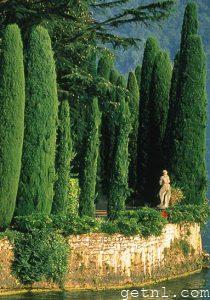 Manicured cypress trees lining the banks of the lake in the charming city of Lugano
